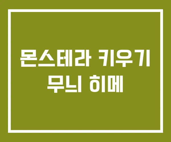 몬스테라 키우기 무늬 히메