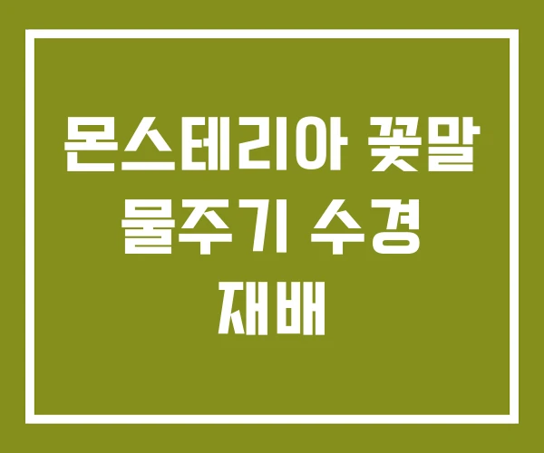 몬스테리아 꽃말 물주기 수경 재배