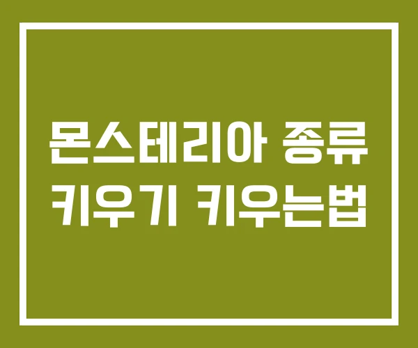 몬스테리아 종류 키우기 키우는법