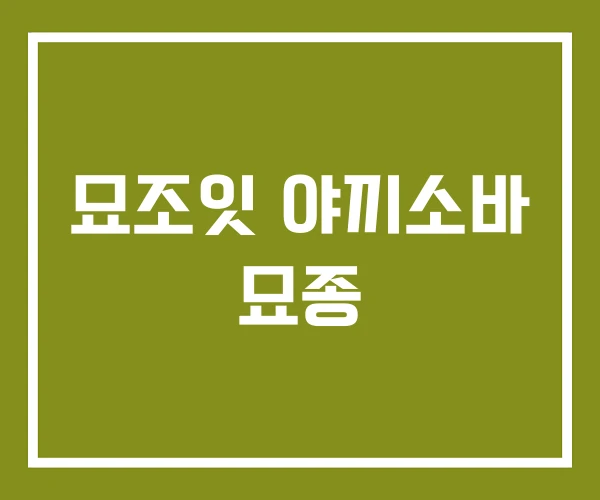 묘조잇 야끼소바 묘종