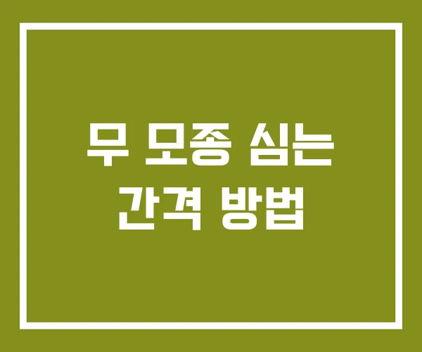 무 모종 심는 간격 방법