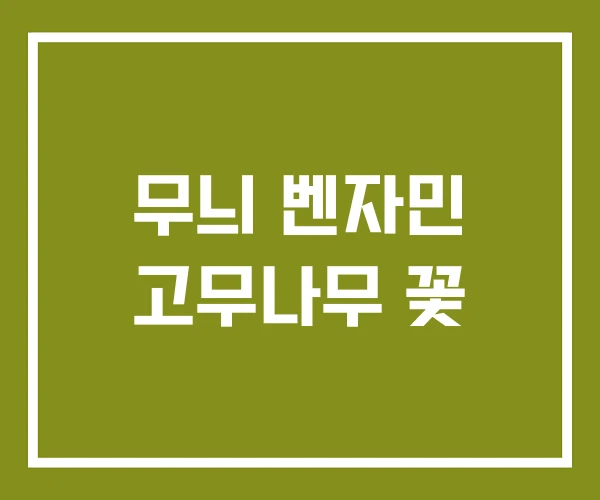 무늬 벤자민 고무나무 꽃