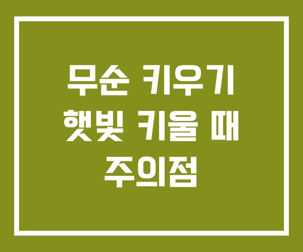 무순 키우기 햇빛 키울 때 주의점