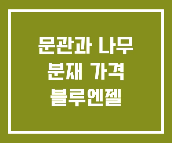 문관과 나무 분재 가격 블루엔젤