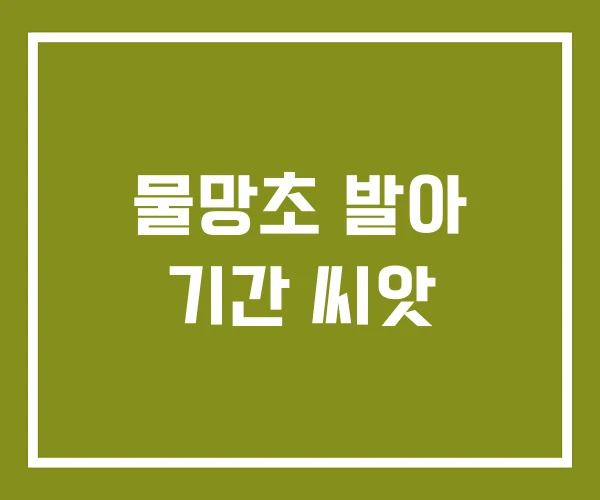 물망초 발아 기간 씨앗