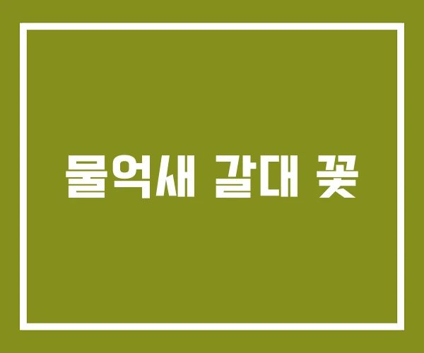 물억새 갈대 꽃