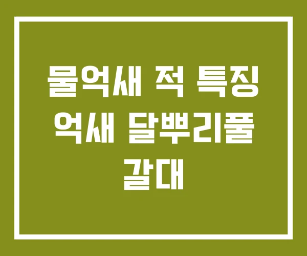 물억새 적 특징 억새 달뿌리풀 갈대