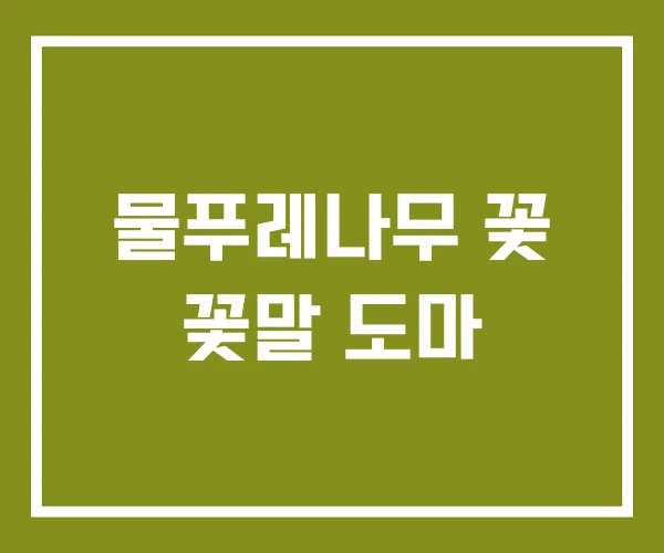 물푸레나무 꽃 꽃말 도마
