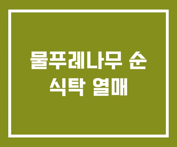 물푸레나무 순 식탁 열매