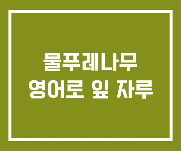 물푸레나무 영어로 잎 자루