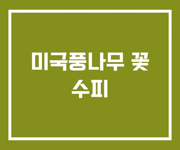 미국풍나무 꽃 수피