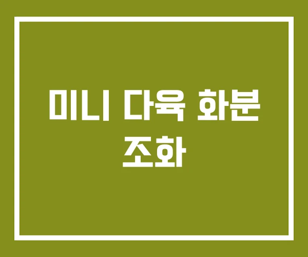 미니 다육 화분 조화