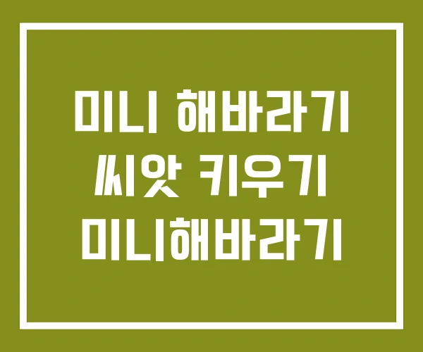 미니 해바라기 씨앗 키우기 미니해바라기
