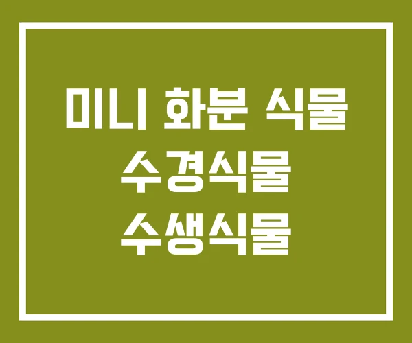 미니 화분 식물 수경식물 수생식물