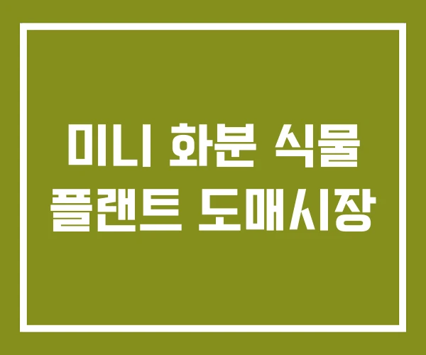 미니 화분 식물 플랜트 도매시장