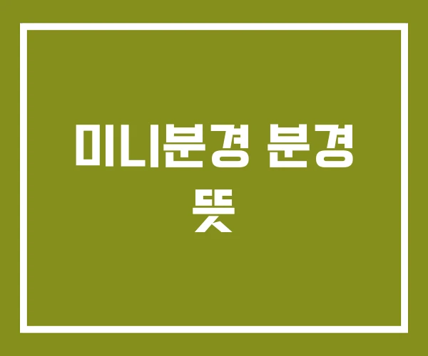 미니분경 분경 뜻