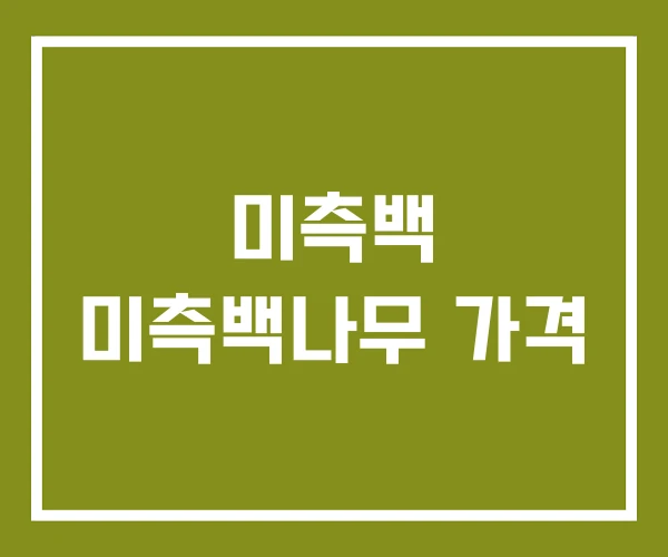 미측백 미측백나무 가격