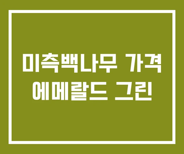 미측백나무 가격 에메랄드 그린