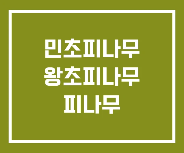 민초피나무 왕초피나무 피나무