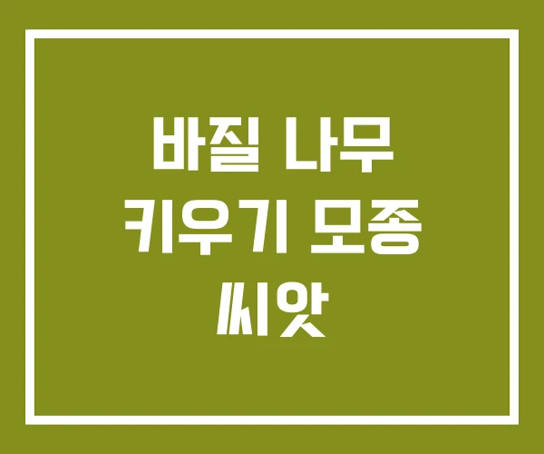 바질 나무 키우기 모종 씨앗