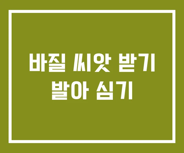 바질 씨앗 받기 발아 심기