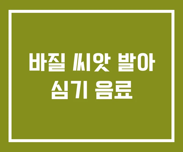 바질 씨앗 발아 심기 음료