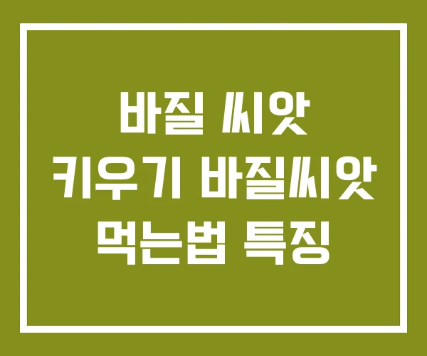 바질 씨앗 키우기 바질씨앗 먹는법 특징