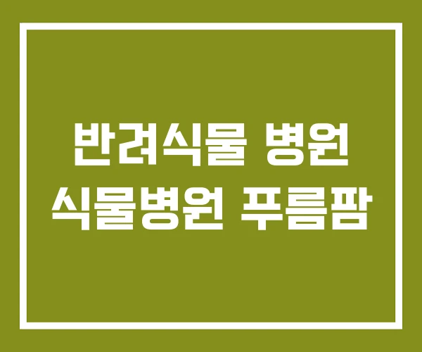 반려식물 병원 식물병원 푸름팜