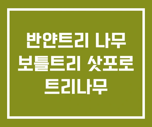 반얀트리 나무 보틀트리 삿포로 트리나무