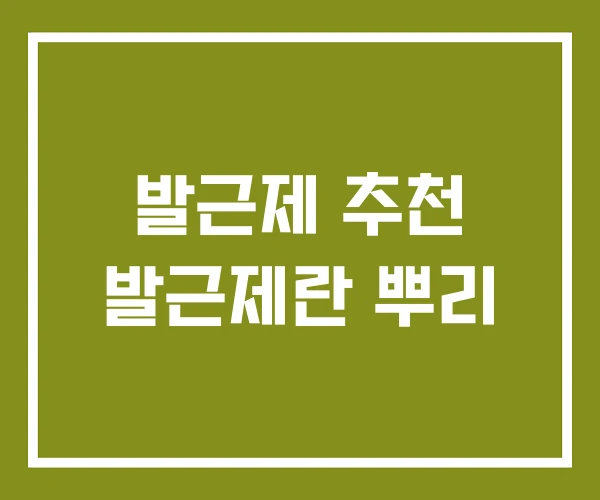 발근제 추천 발근제란 뿌리