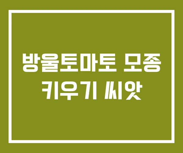 방울토마토 모종 키우기 씨앗