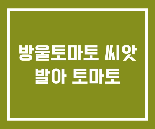 방울토마토 씨앗 발아 토마토