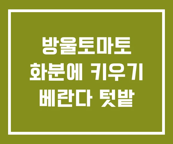 방울토마토 화분에 키우기 베란다 텃밭