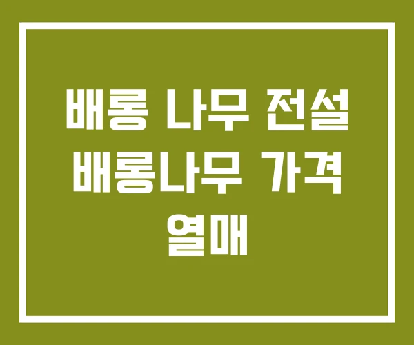 배롱 나무 전설 배롱나무 가격 열매