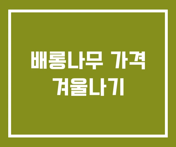 배롱나무 가격 겨울나기