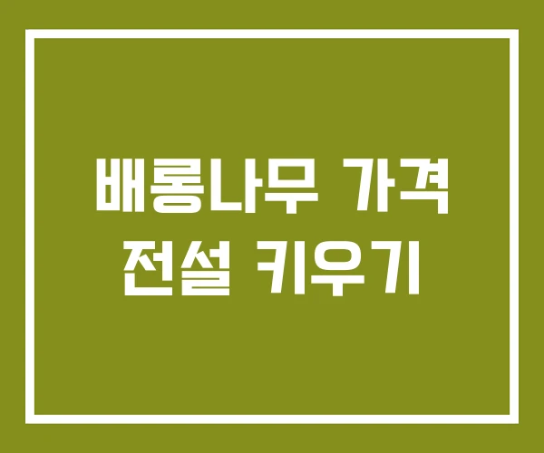 배롱나무 가격 전설 키우기
