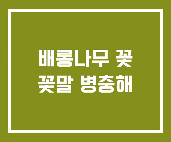 배롱나무 꽃 꽃말 병충해