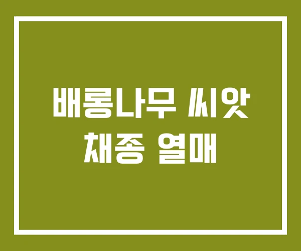 배롱나무 씨앗 채종 열매