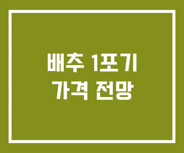 배추 1포기 가격 전망
