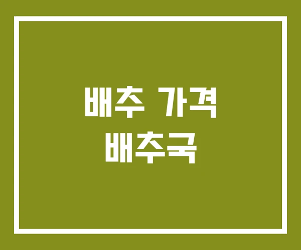 배추 가격 배추국