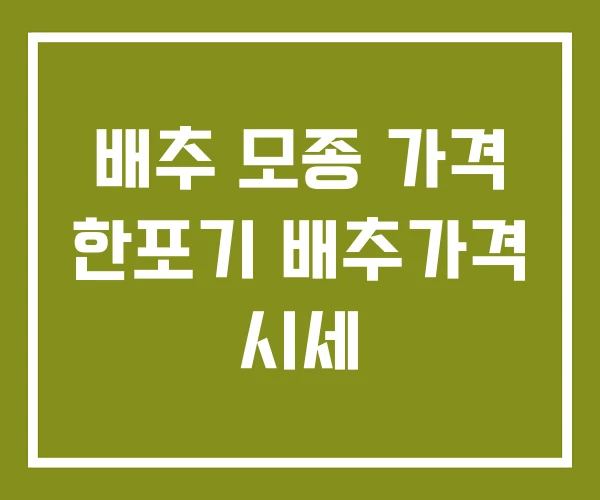 배추 모종 가격 한포기 배추가격 시세