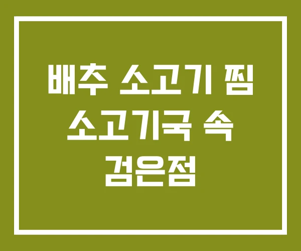 배추 소고기 찜 소고기국 속 검은점