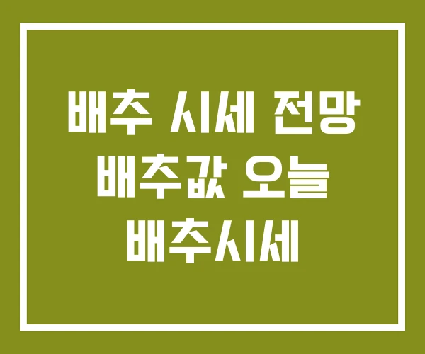 배추 시세 전망 배추값 오늘 배추시세