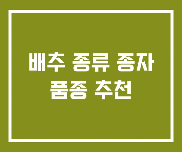 배추 종류 종자 품종 추천