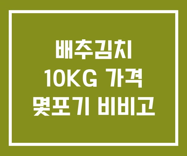 배추김치 10KG 가격 몇포기 비비고