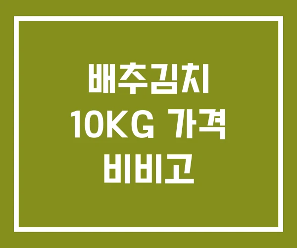 배추김치 10KG 가격 비비고