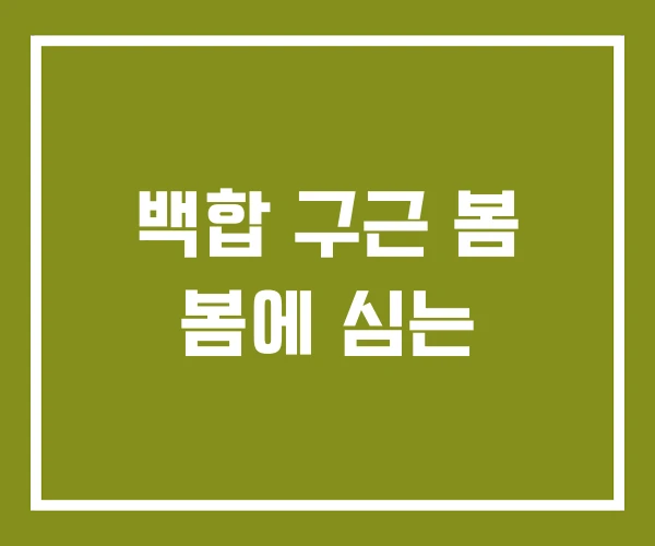 백합 구근 봄 봄에 심는