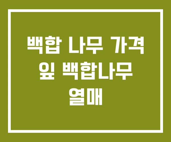 백합 나무 가격 잎 백합나무 열매