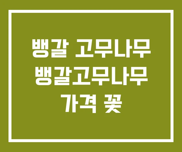 뱅갈 고무나무 뱅갈고무나무 가격 꽃