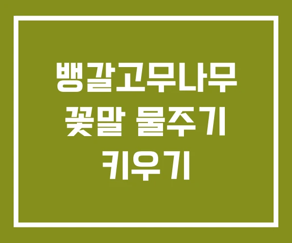 뱅갈고무나무 꽃말 물주기 키우기